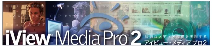 iView Media Pro