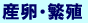 YEɐB