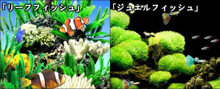 アクアゾーン ビジュアル・エディション 水中庭園 TOP