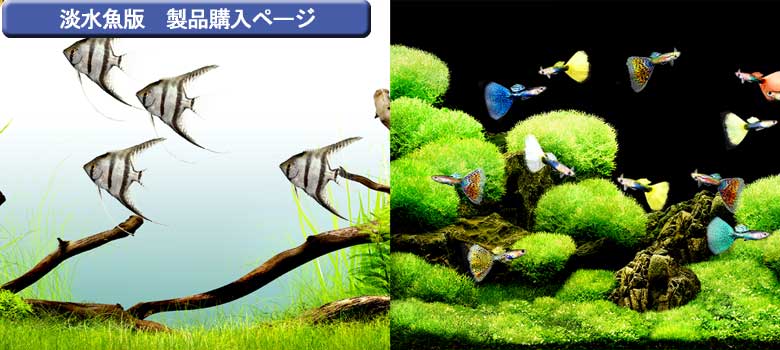 アクアゾーン デスクトップライフデラックス (shin 聞きづらい アクアゾーン デスクトップライフデラックス (shin 聞きづらい