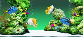 AQUAZONE rWAEGfBV 뉀 uv
