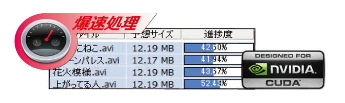u[CEDVD쐬\tg@fBXNNG[^[SBD&DVD 
