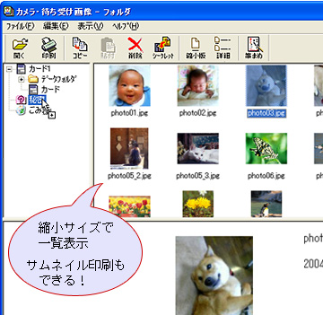 JE҂󂯉摜̈ꗗ\