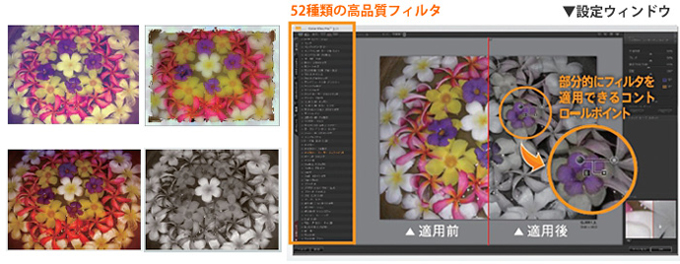 Corel PaintShop Pro X4 Ultimate - Nik Color Efex Pro 3.0