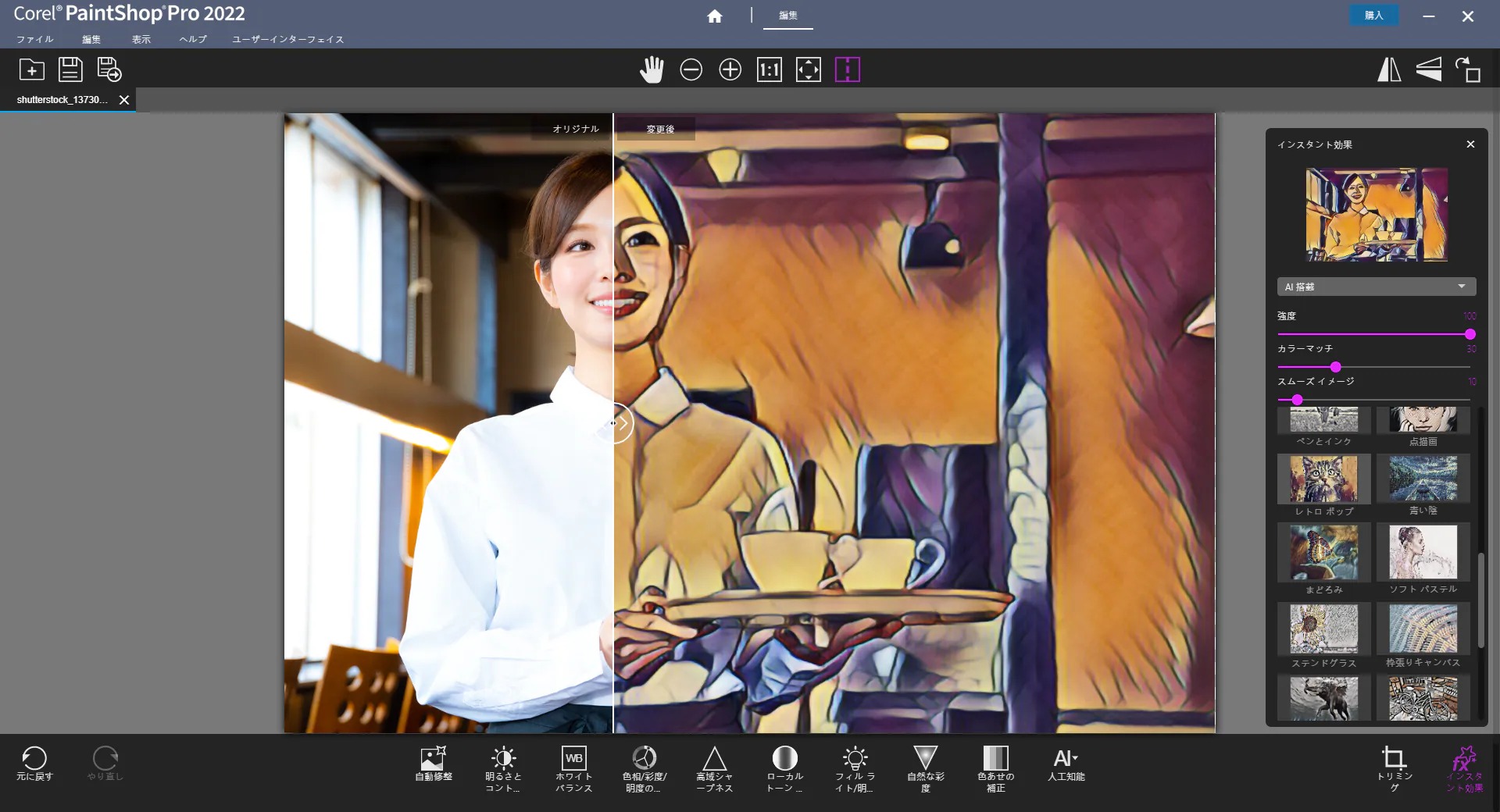 コーレル PaintShop Pro 2023 Ultimate 正規版 - PCパーツ
