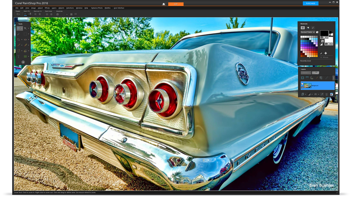 PaintShop Pro ȗR