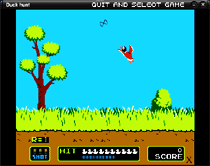 DUCK HUNT