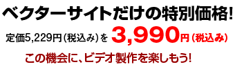 xN^[TCǧ̔I艿5229~iō݁j3990~iō݁j